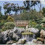 japanese-friendship-garden-balboa-park-024