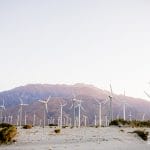 Windmills_Palm_Springs_Engagement